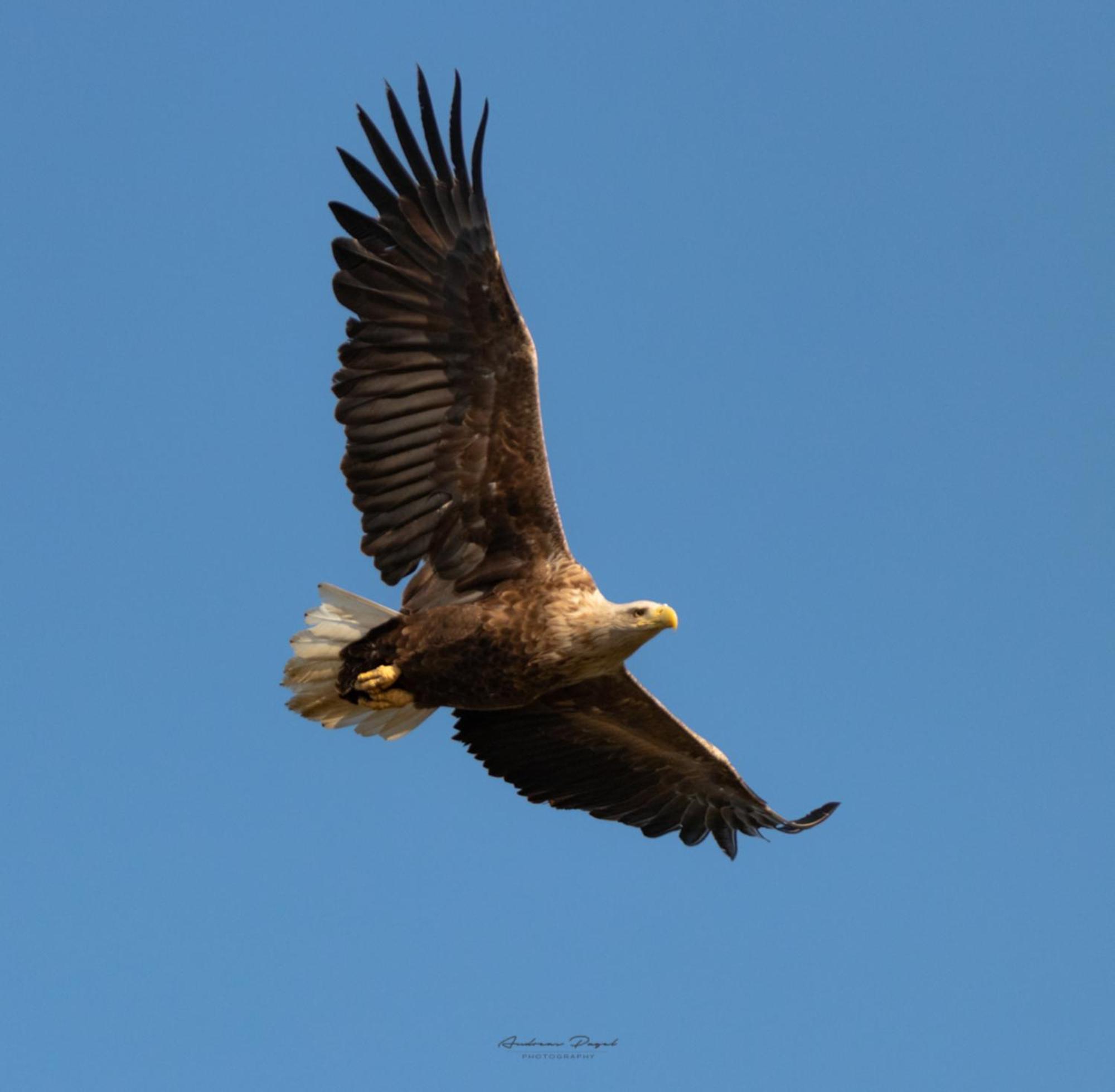 Fewo Seeadler - Heuser Преров Екстериор снимка